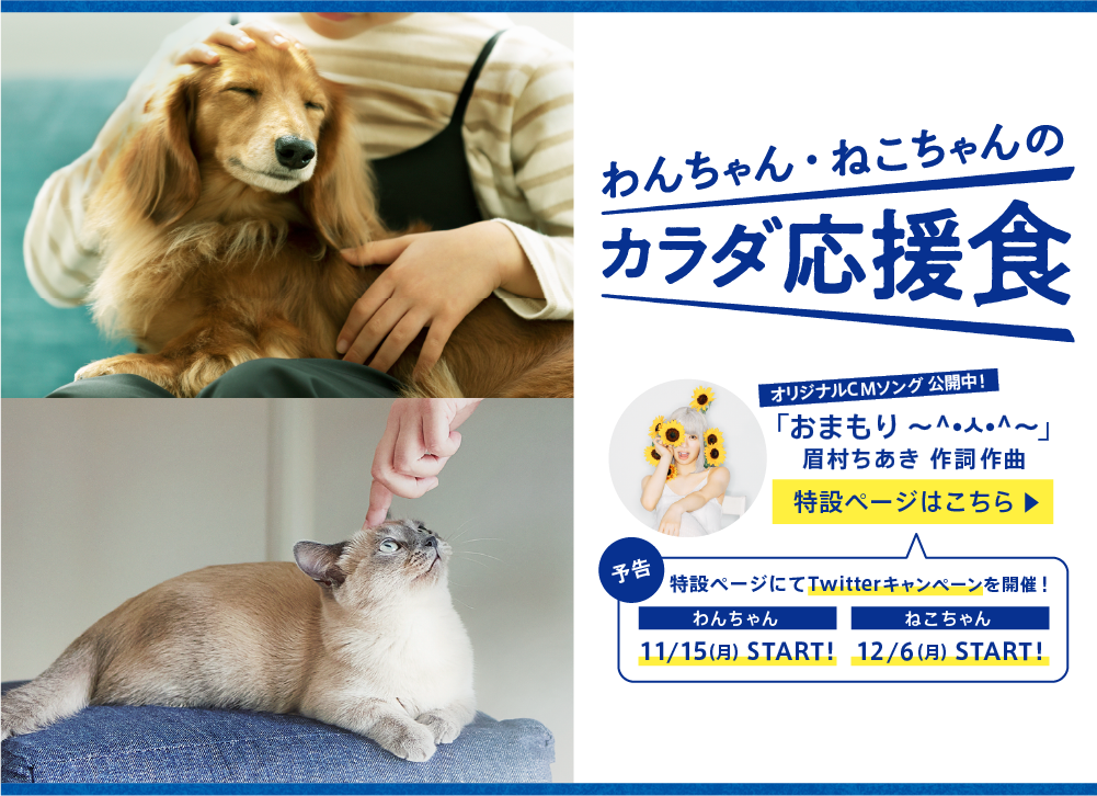 セレクトバランス 皮膚と体の健康を維持するヘルシーフード